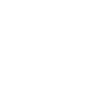 Real estate document signing icon