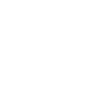 Property Status Property document review icon